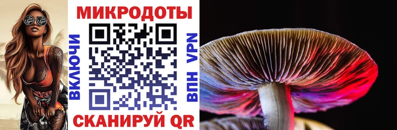 Псилоцибиновые грибы Psilocybine cubensis  Пласт 